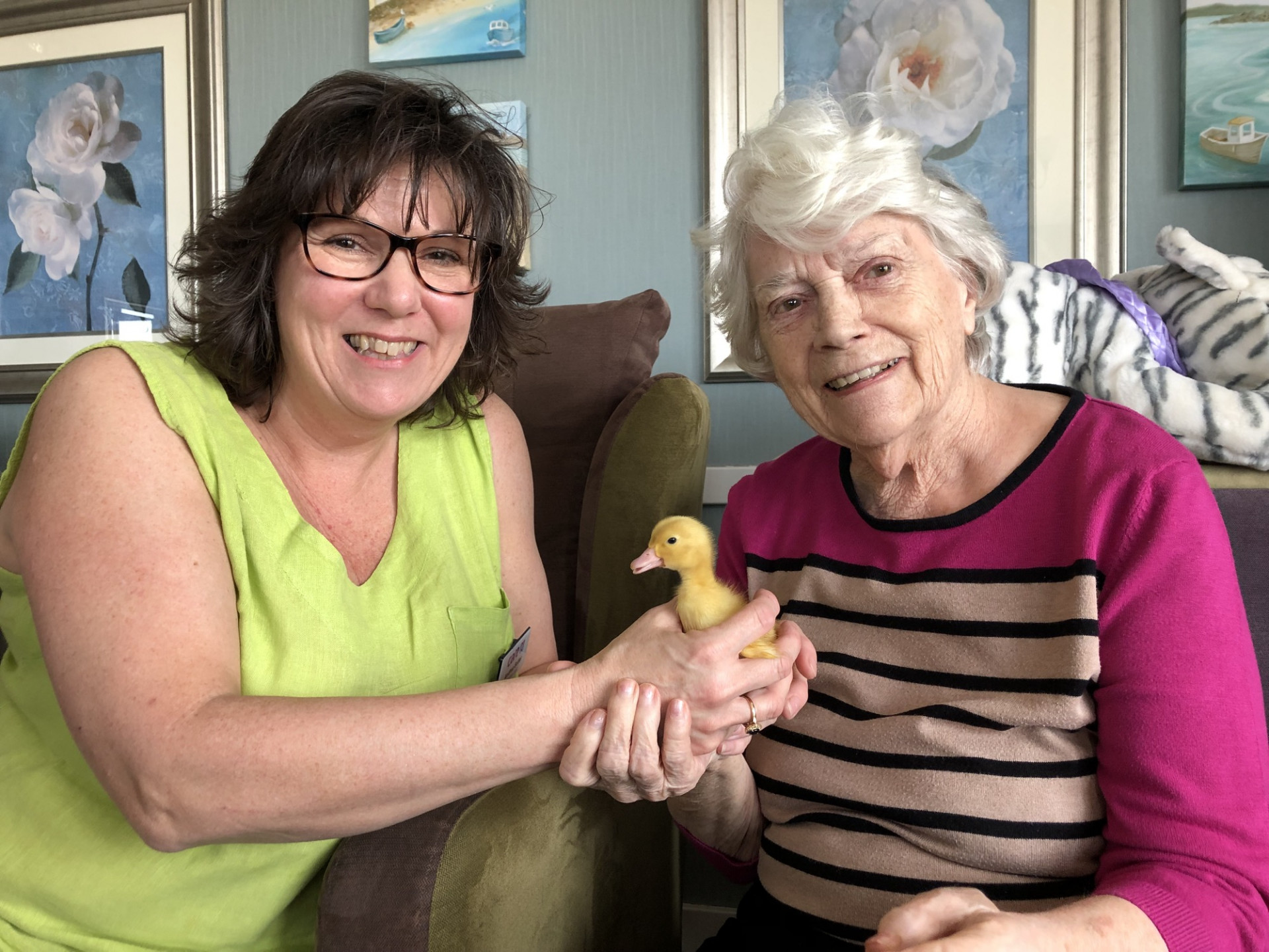 Spring is in the air at Heather View